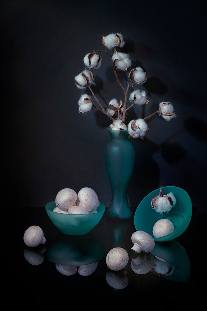Cotton and Mushroom Still Life by Lydia Jacobs