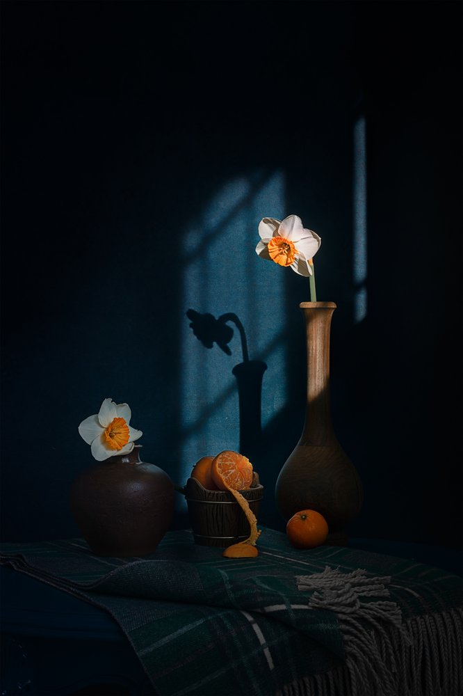 Daffodils Citrus Shadows by Lydia Jacobs