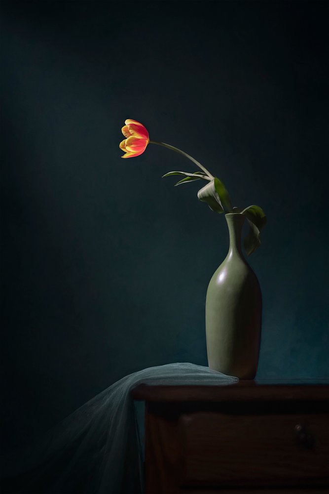 Dark Floral Still Life by Lydia Jacobs