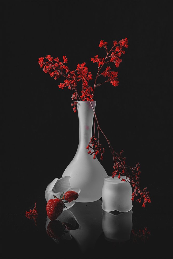 Dark Romantic Still Life by Lydia Jacobs