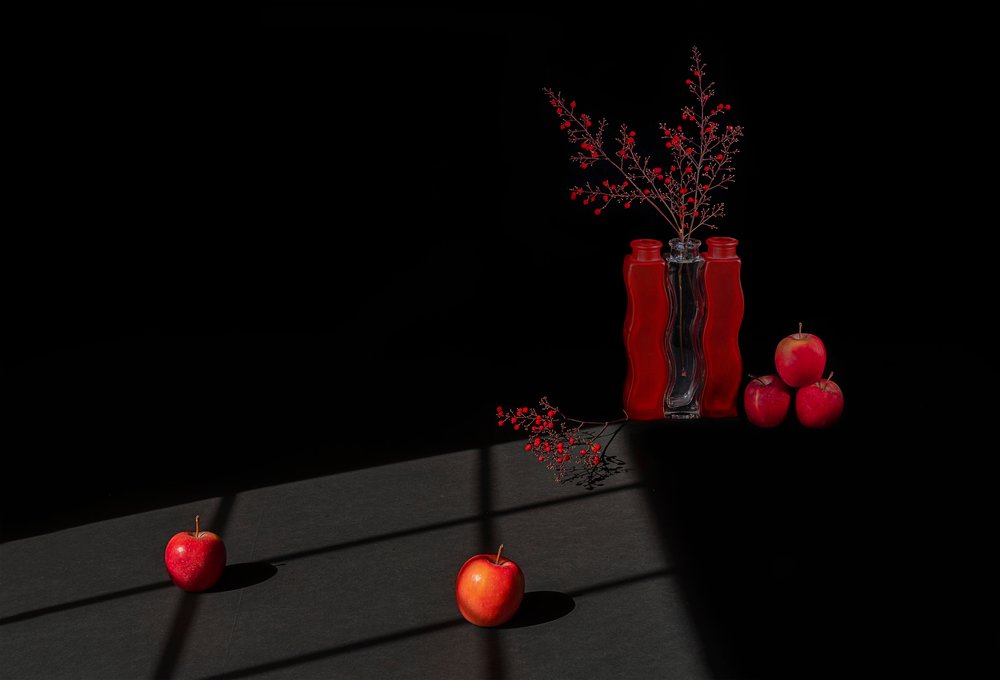 Dramatic Red Still Life by Lydia Jacobs
