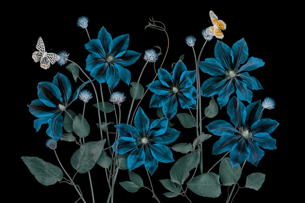 Ethereal Blue Garden by Lydia Jacobs