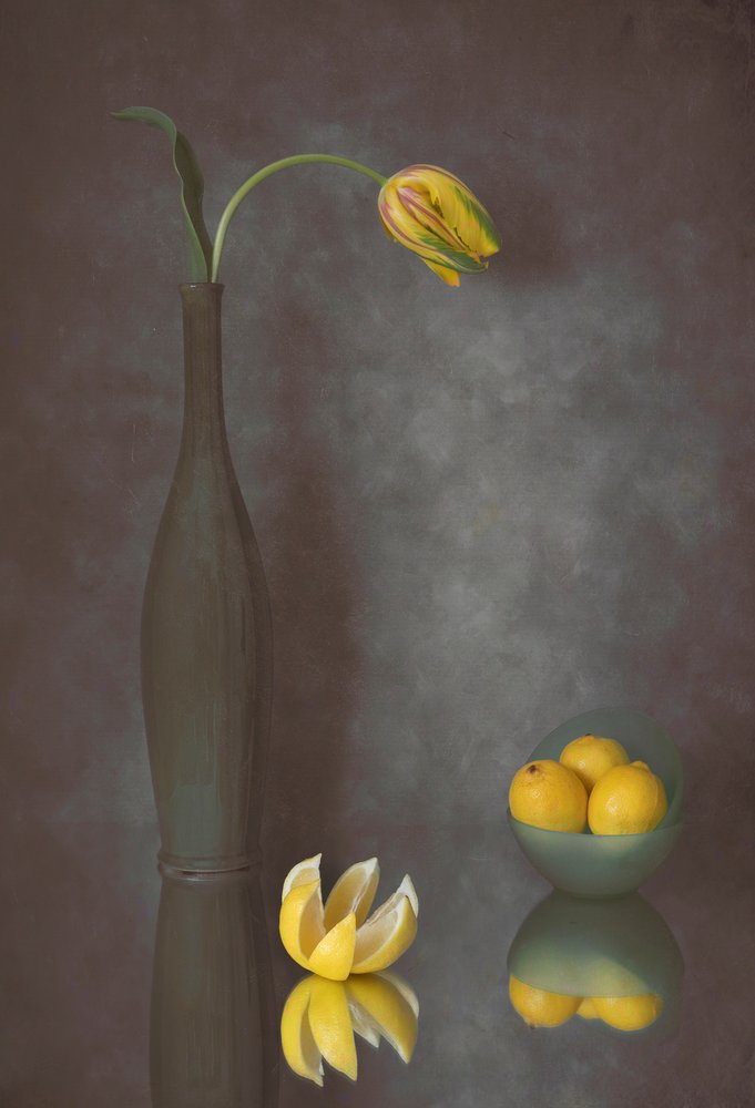 Graceful Tulip and Lemons by Lydia Jacobs