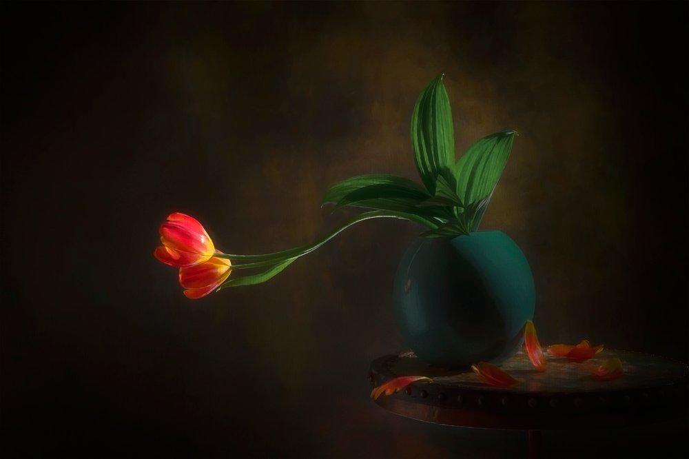 Graceful Tulips Still Life by Lydia Jacobs