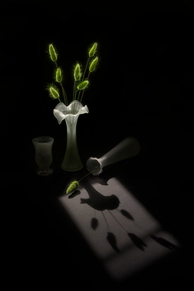 Green Plants Bird Shadow by Lydia Jacobs
