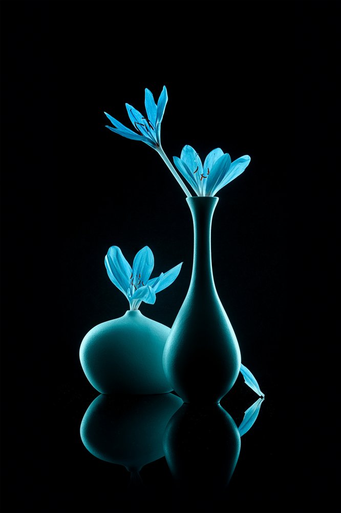 Luminous Blue Still Life by Lydia Jacobs