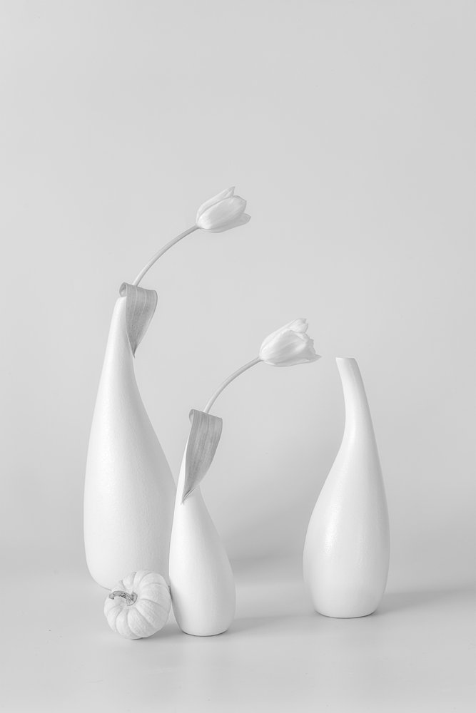 Minimalist White Tulips by Lydia Jacobs