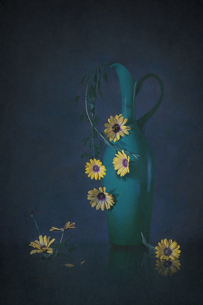 Moody Floral Still Life by Lydia Jacobs