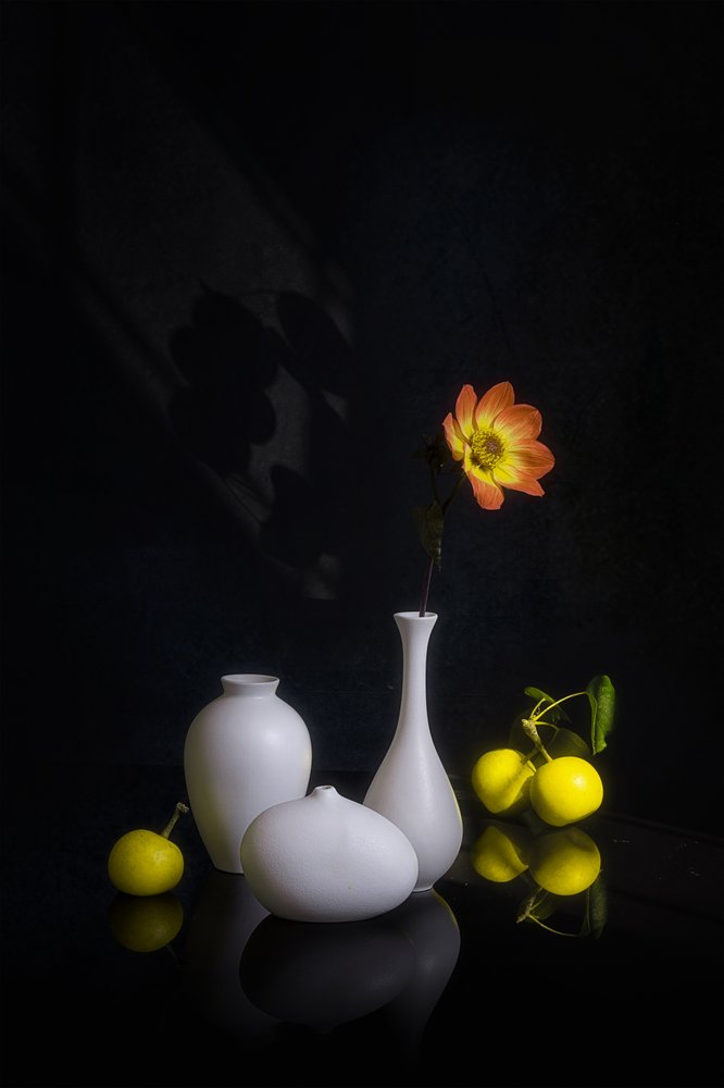 Moody Flower and Fruit by Lydia Jacobs