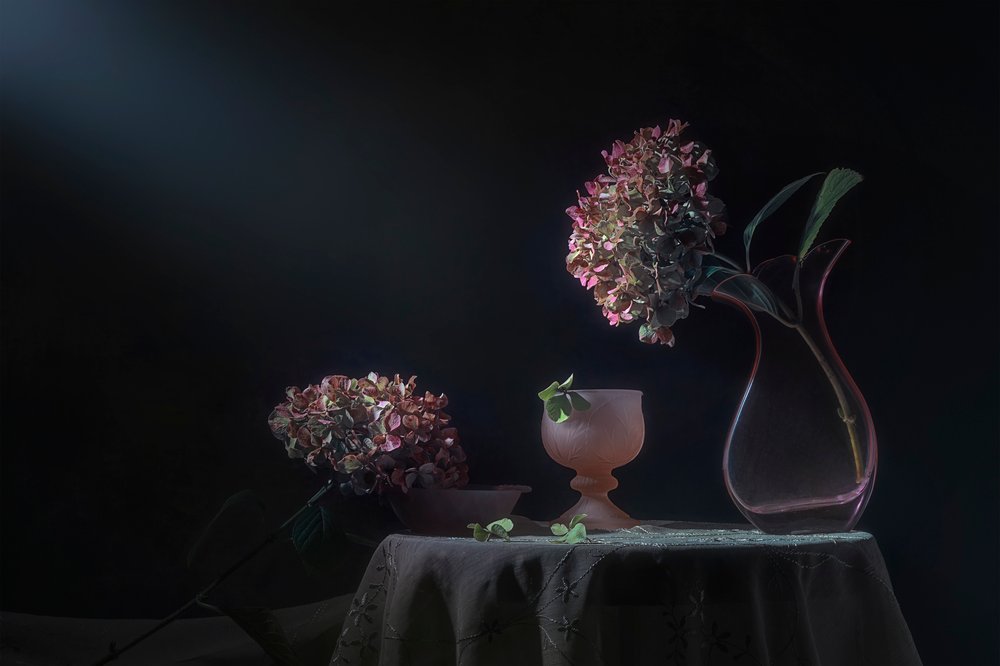 Moody Hydrangea Still Life by Lydia Jacobs