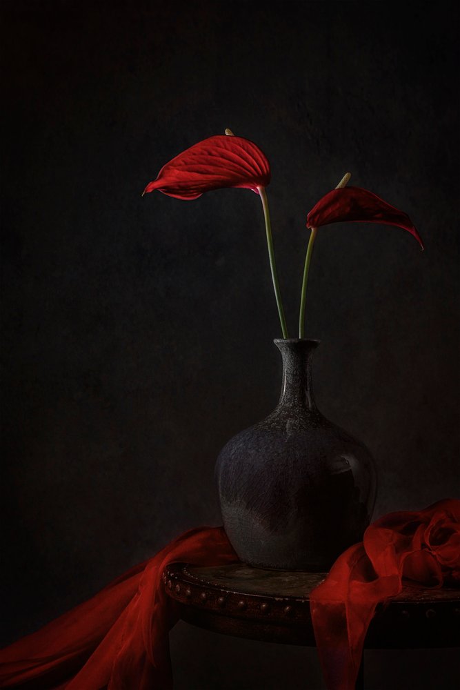 Moody Red Anthuriums by Lydia Jacobs