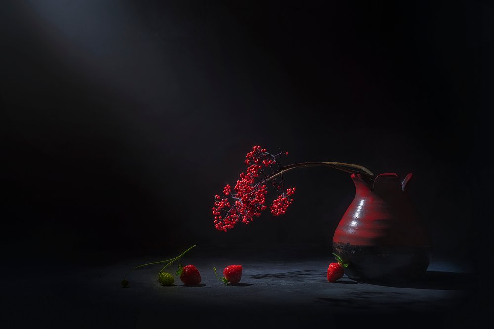 Moody Red Berries by Lydia Jacobs