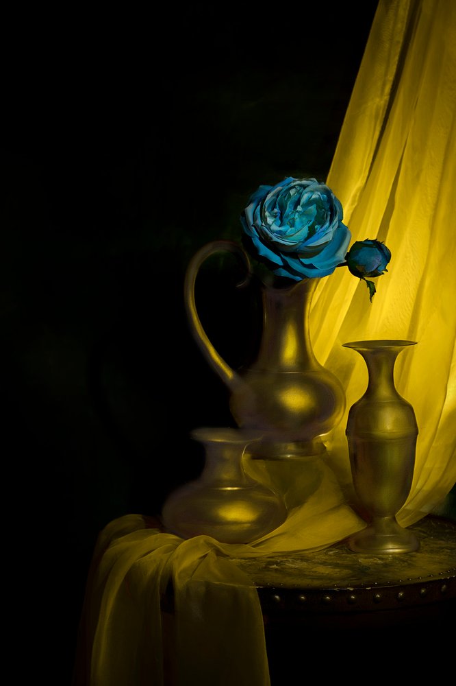 Opulent Blue Rose Still Life by Lydia Jacobs