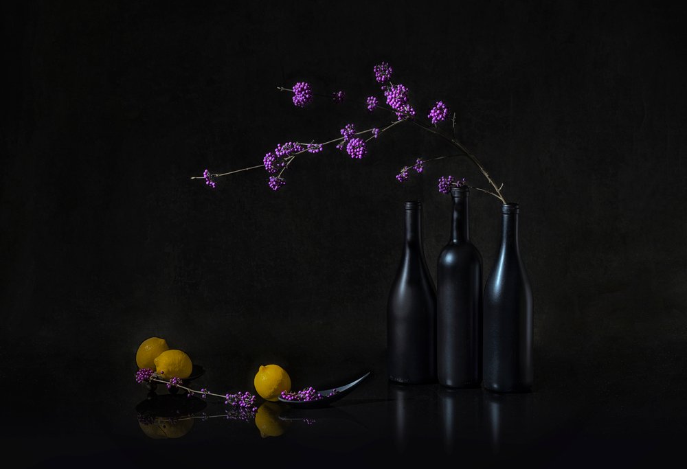 Purple Berries Dark Still Life by Lydia Jacobs