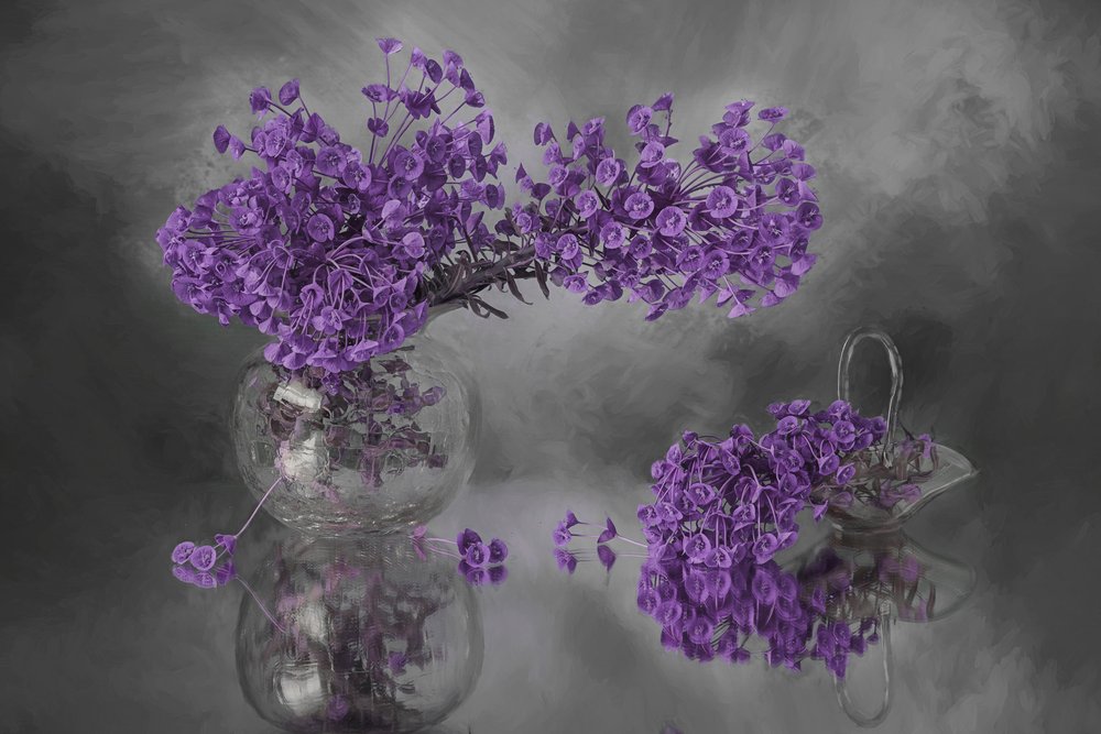Purple Blooms Reflection by Lydia Jacobs