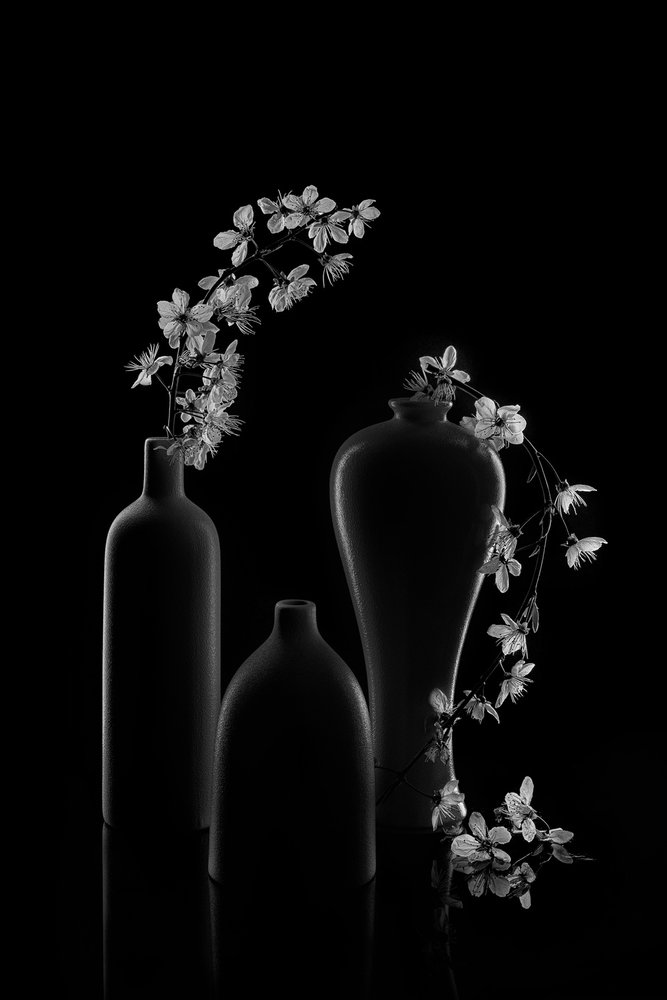Serene Floral Arrangement by Lydia Jacobs