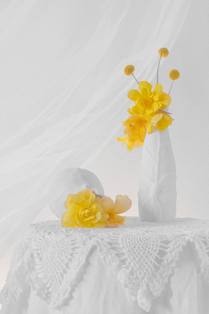 Soft Yellow Floral Still Life by Lydia Jacobs