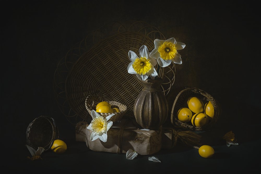 Spring Daffodils and Lemons by Lydia Jacobs
