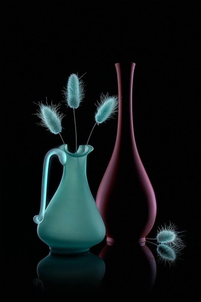 Vases with Bunny Tails by Lydia Jacobs