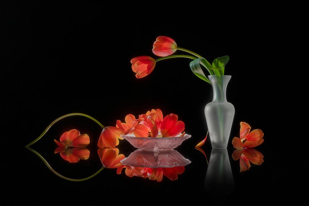 Vibrant Tulips Still Life by Lydia Jacobs