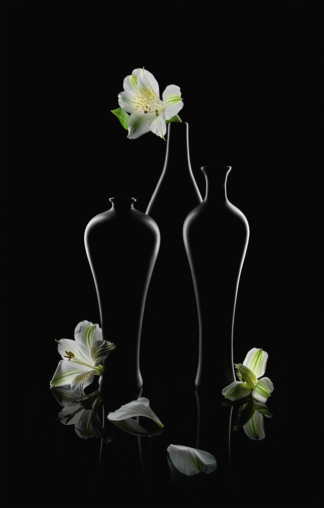 White Flowers Dark Vases by Lydia Jacobs