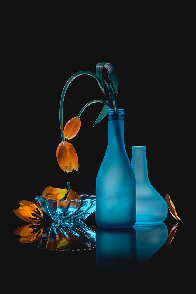 Wilting Tulips Still Life by Lydia Jacobs