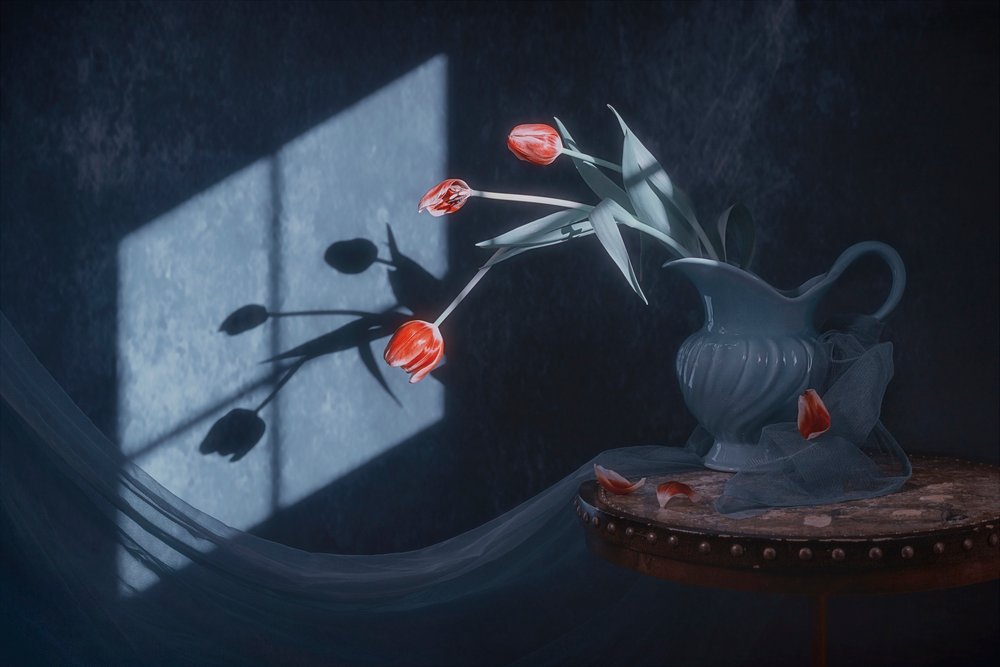 Window Light Tulips by Lydia Jacobs