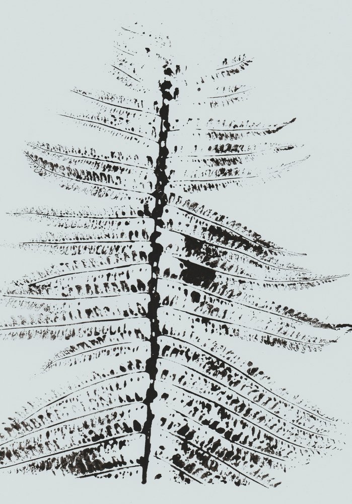 Black Ink Fern by Maira Ribena