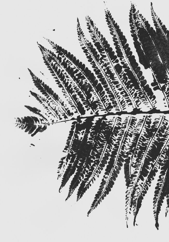 Botanical Fern Silhouette by Maira Ribena