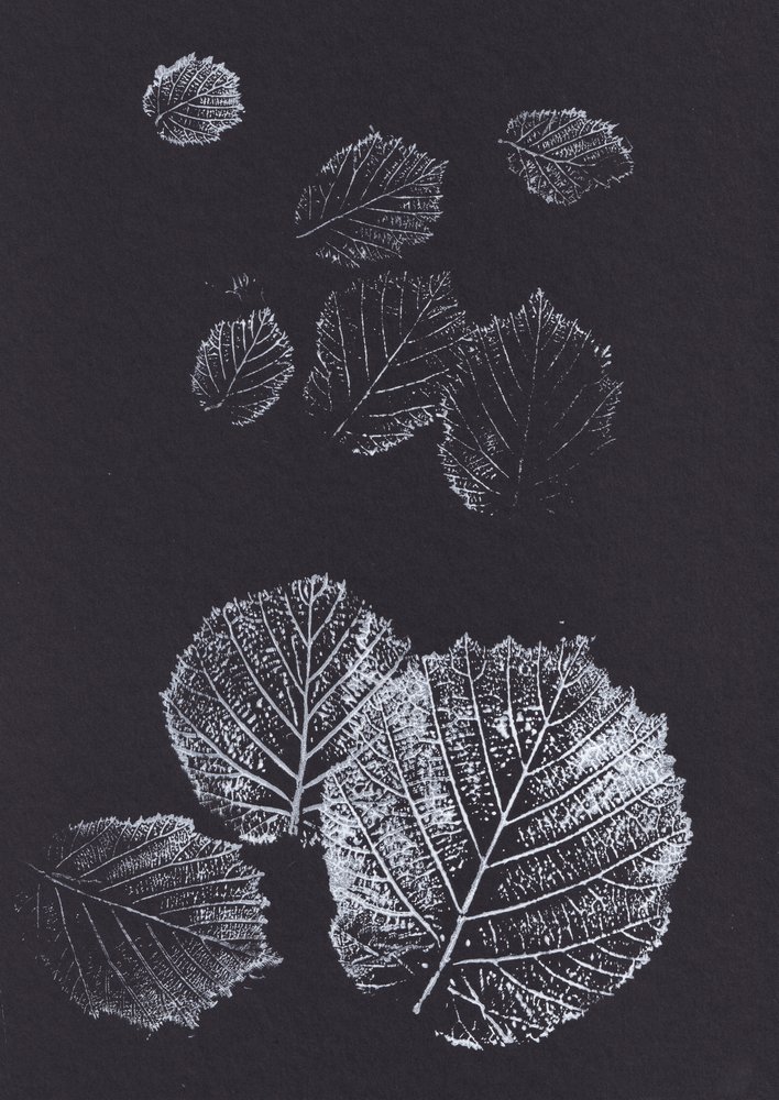 Botanical Leaf Prints by Maira Ribena