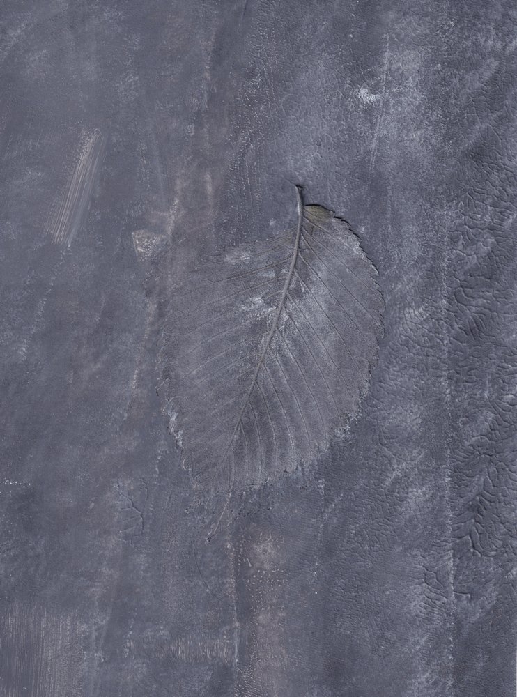 Dark Leaf Impression by Maira Ribena