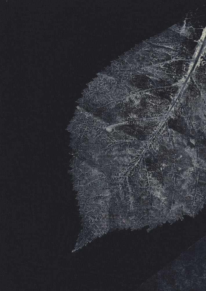 Dark Leaf Veins by Maira Ribena
