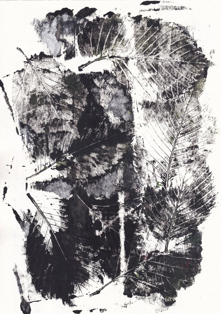 Monochrome Botanical Impressions by Maira Ribena