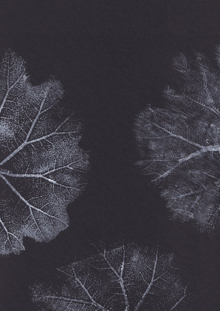Monochrome Leaf Textures by Maira Ribena