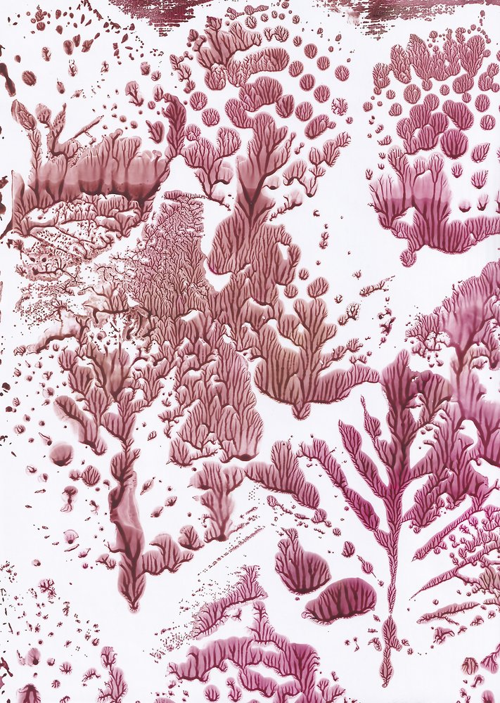 Organic Maroon Flow by Maira Ribena