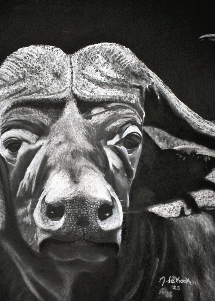 Bufalo by Marchelle de Kock