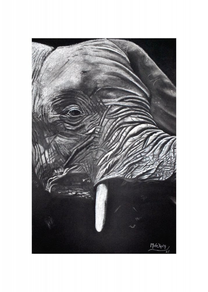 Majestic Elephant Portrait by Marchelle de Kock