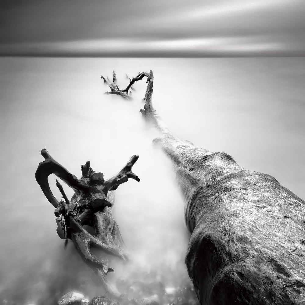 Misty Driftwood Serenity by Marek Kijevský
