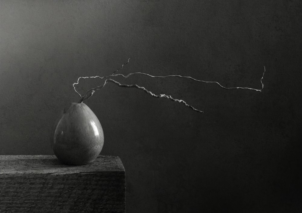 Monochrome Pear and Branch by Margaret Halaby