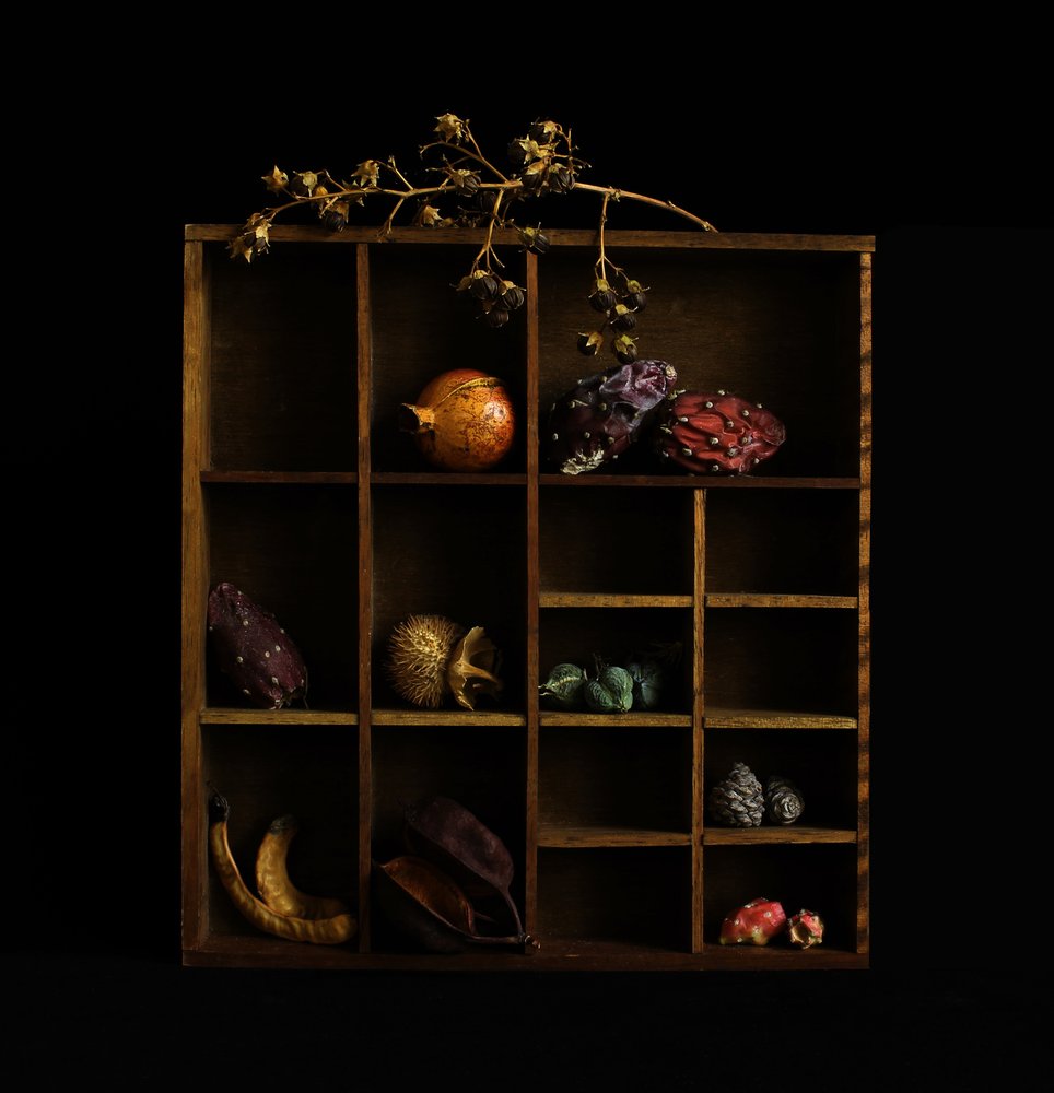Rustic Botanical Still Life by Margaret Halaby