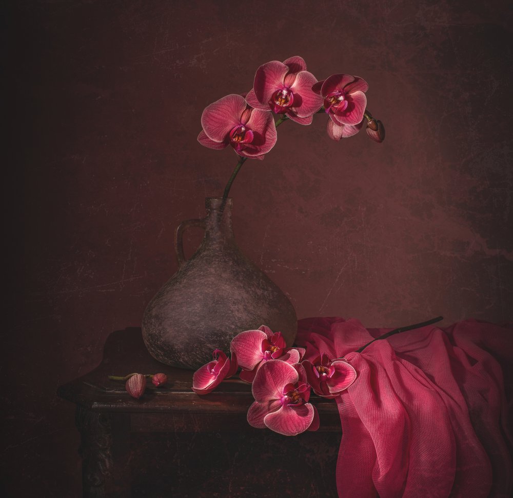 Dark Orchid Still Life by Margareth Perfoncio