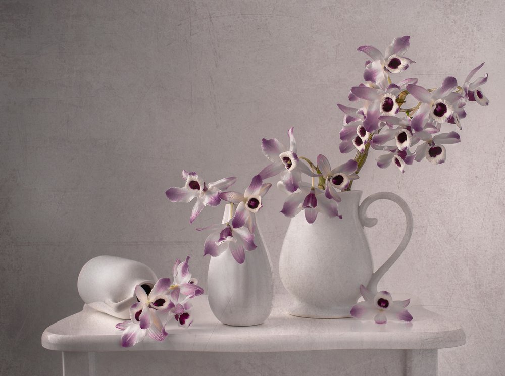 Delicate Orchid Still Life by Margareth Perfoncio