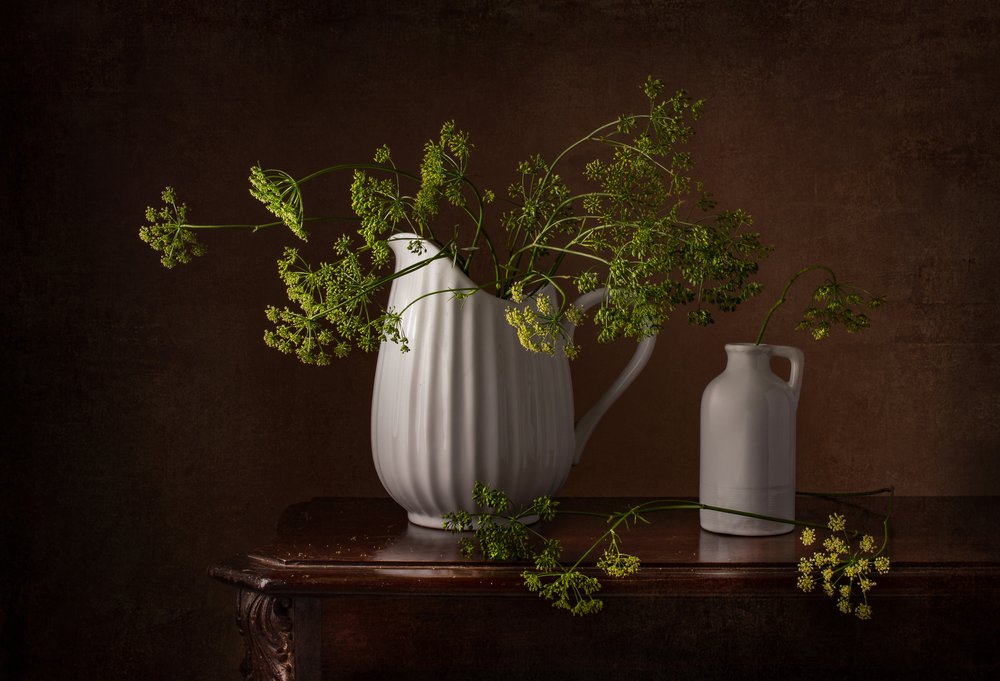 Dill Flowers Still Life by Margareth Perfoncio