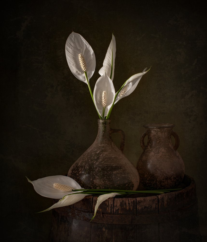 Moody Peace Lilies by Margareth Perfoncio