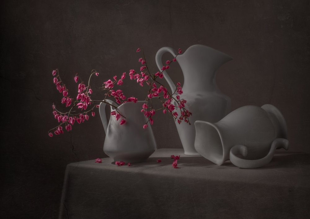 Pink Blooms And White Pitchers by Margareth Perfoncio