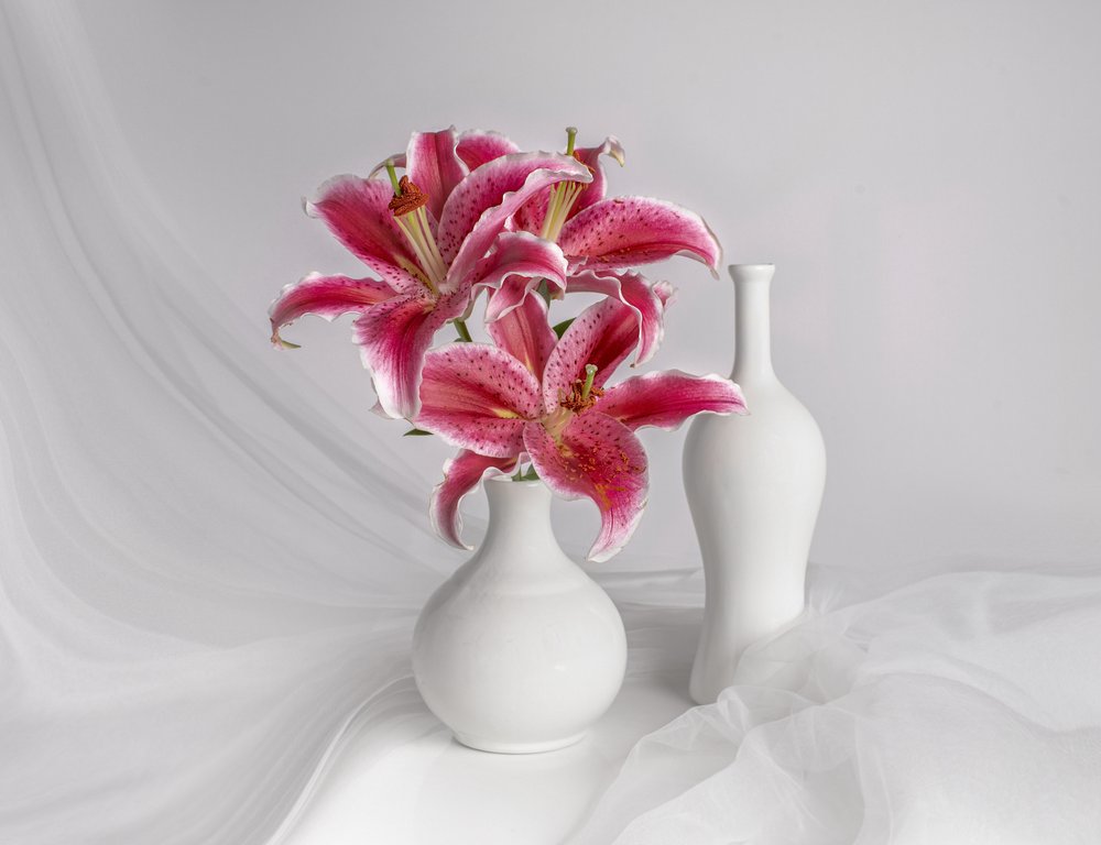 Pink Lilies White Vases by Margareth Perfoncio
