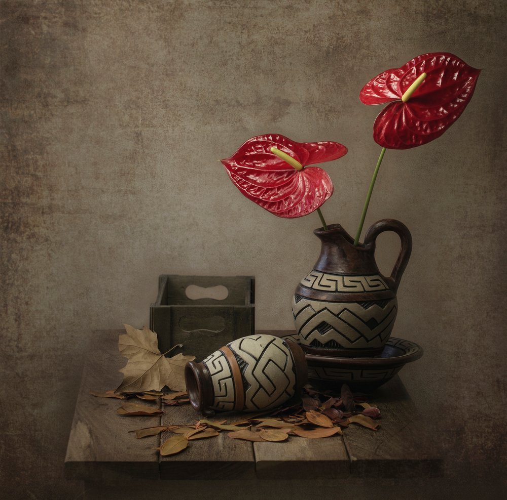 Rustic Anthurium Still Life by Margareth Perfoncio