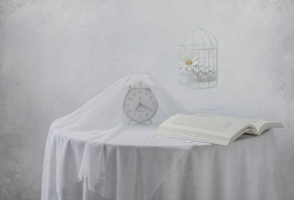 Serene Clock Book Birdcage by Margareth Perfoncio