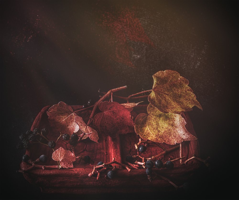 Moody Autumn Leaves by Marie-anne Stas