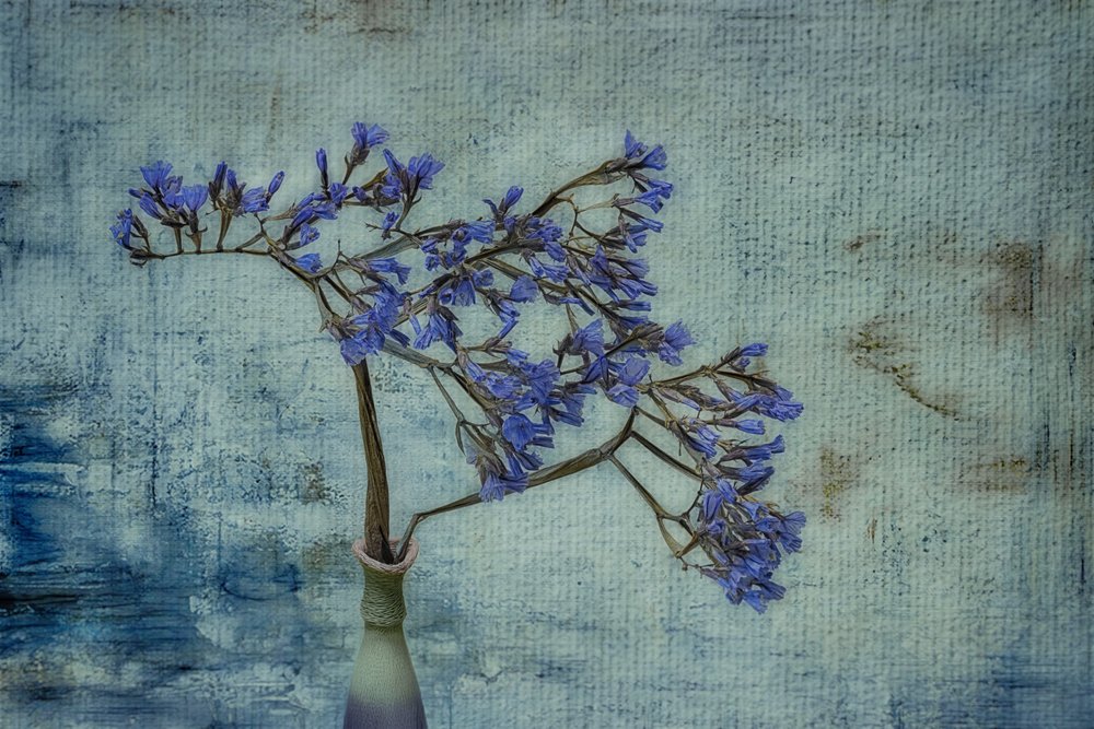 Rustic Blue Floral Vase by Marie-anne Stas
